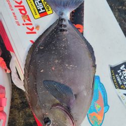 和歌山市江(吉丸渡船)でグレ釣り