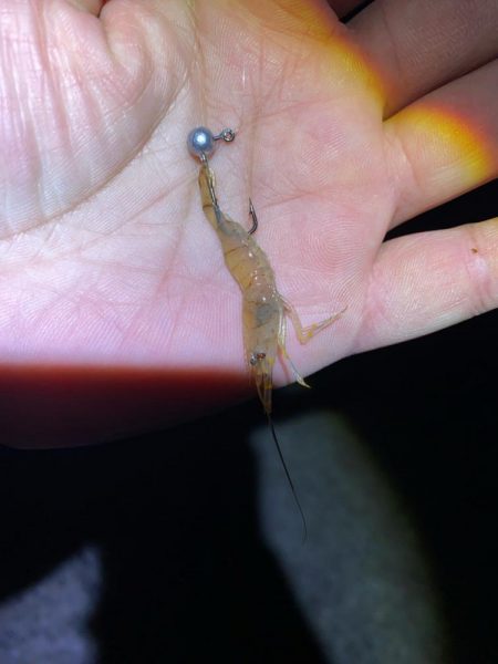 ハッピーニューイヤーは新釣法で!