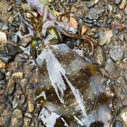 釣り納めと釣り始め!