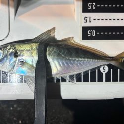 やっとこさ! 笑笑