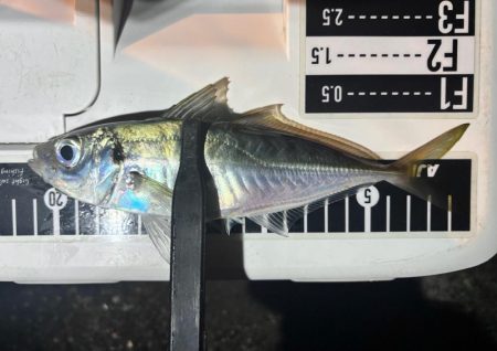 やっとこさ！　笑笑