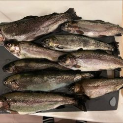 北方マス釣り場へ