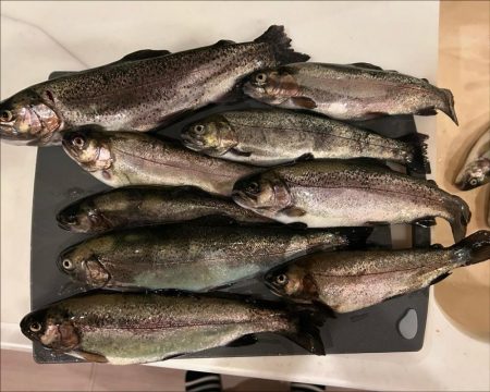 北方マス釣り場へ