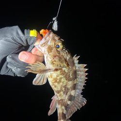 ライトロックゲーム