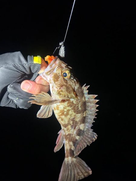 ライトロックゲーム