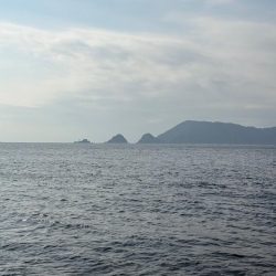 ジギングイベント参加