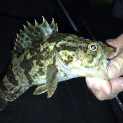 悶絶アジング&ロックフィッシュ