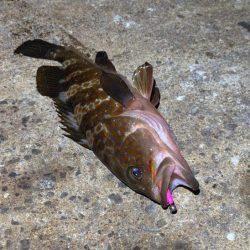 爆風と突風の恐怖！釣りはご安全に！！