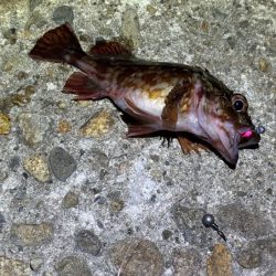 深いレンジで一瞬の時合い！アミパターンなのか！？