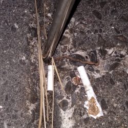 清掃活動：今年初、黒髭軍団釣りキャンプ参戦…