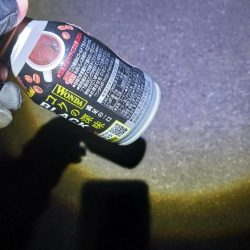 清掃活動：アジング