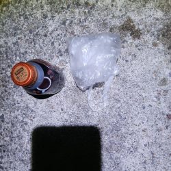 清掃活動：新リグでアジング　尺アジゲット