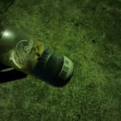 清掃活動：アジ大物狙い失敗、数釣り成功