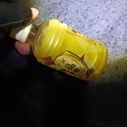 清掃活動：久し振りのジグ単アジング