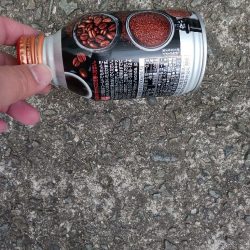 清掃活動：爆風アジング　尺有