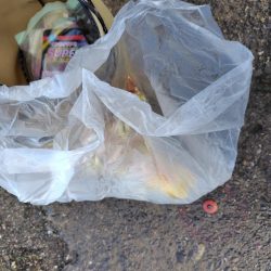 清掃活動：新年初釣り