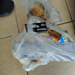 清掃活動：25年釣り始めは船カワハギ