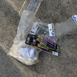 清掃活動：船カワハギ終盤戦