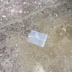 清掃活動：初釣り2025