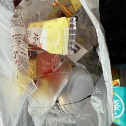 清掃活動：カレイ釣り