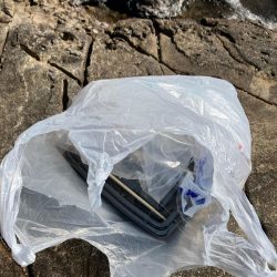 清掃活動：磯フカセ釣り