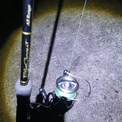 1発大物狙い成功？