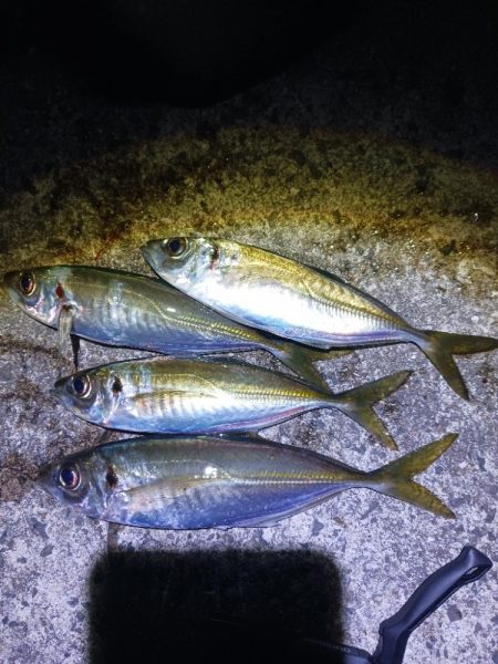 1発大物狙い成功？