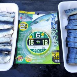 冬旬メダイ釣りですが・・・。