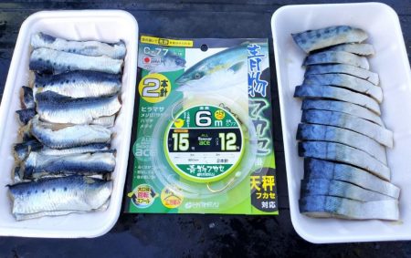 冬旬メダイ釣りですが・・・。