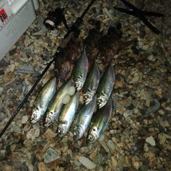 フロートゲーム～