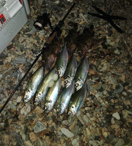 フロートゲーム～