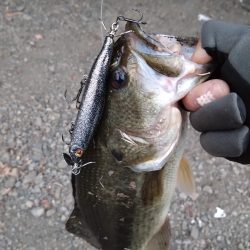 スクリューベイトで1本