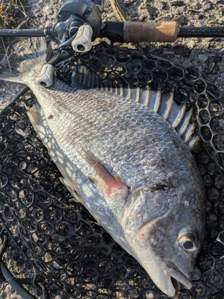 広島敷石ネチネチニング