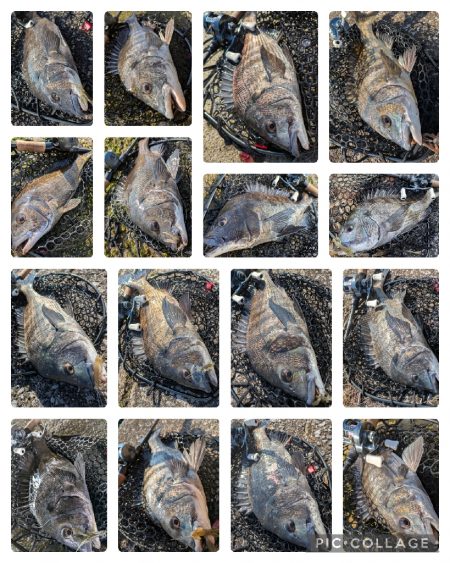 広島敷石ネチネチニング