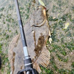 カラシチニング？