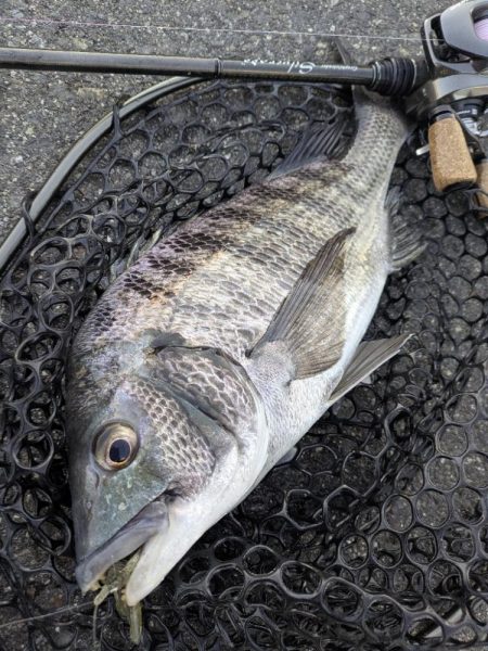 極寒チニングin呉