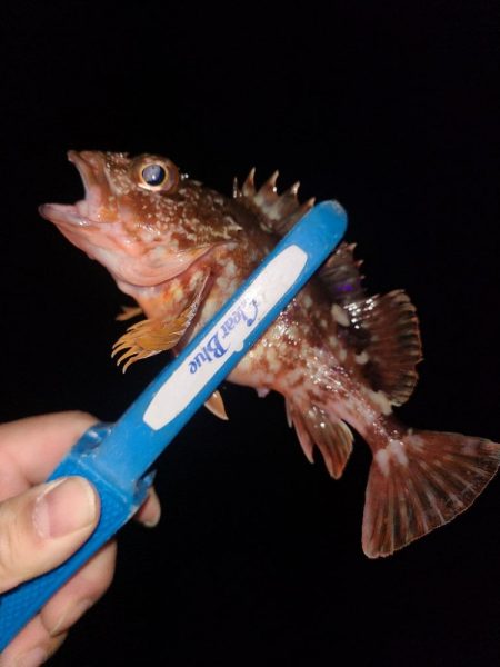 極寒フィッシングあれこれ。