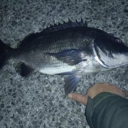 寒波後のフロートメバリング