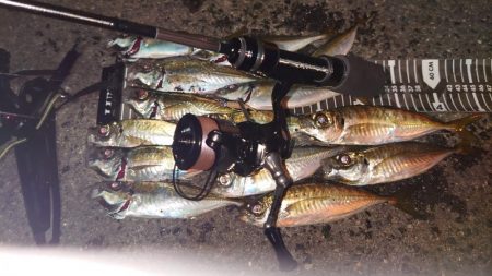 場所が変われば