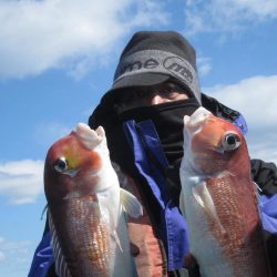 甘鯛、根魚など　14匹(^^)/