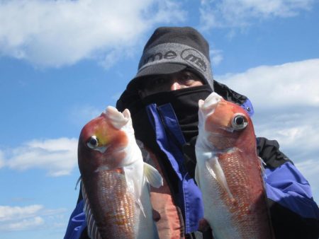 甘鯛、根魚など　14匹(^^)/