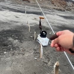 真冬のサーフでキス釣りしてきました