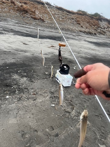 真冬のサーフでキス釣りしてきました