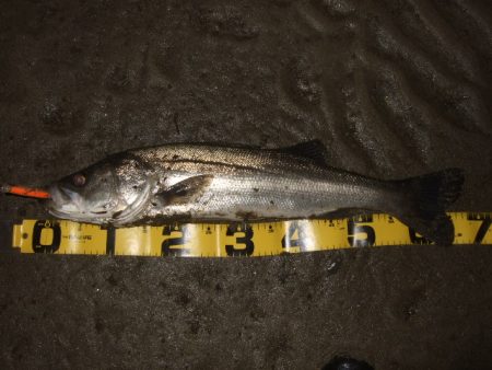 1バイトが貴重な厳寒期