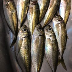 当たりポツポツ