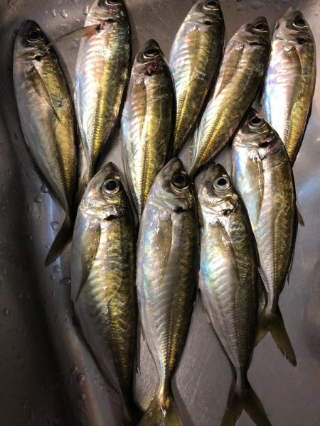 当たりポツポツ