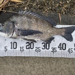 イチノ兄弟、釣果!