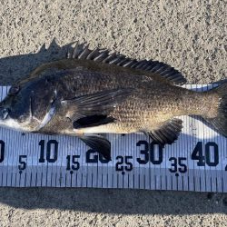 イチノ兄弟、釣果！