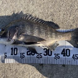 イチノ兄弟、釣果！