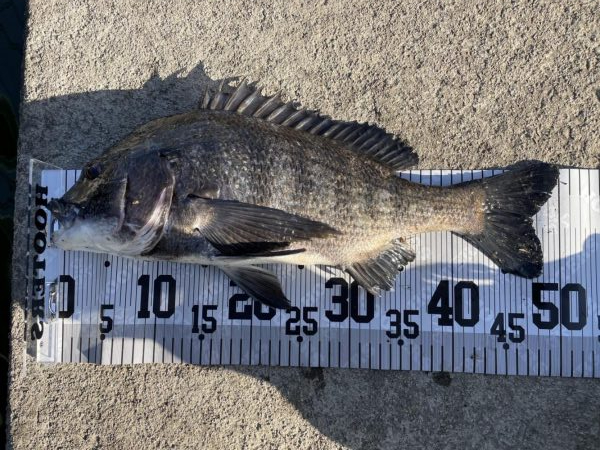 イチノ兄弟、釣果！